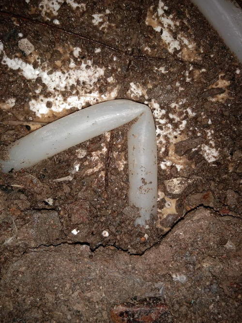 高坪堵点精准查找